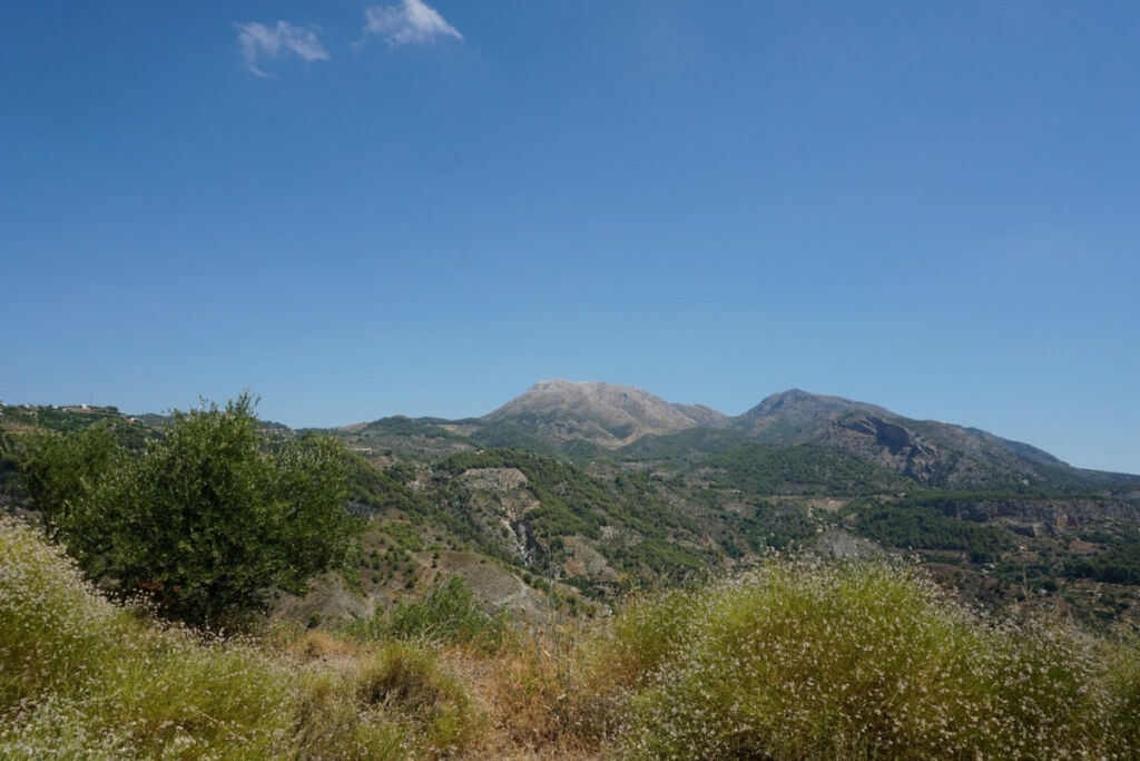 Finca - Cortijo Yunquera Málaga - image 21