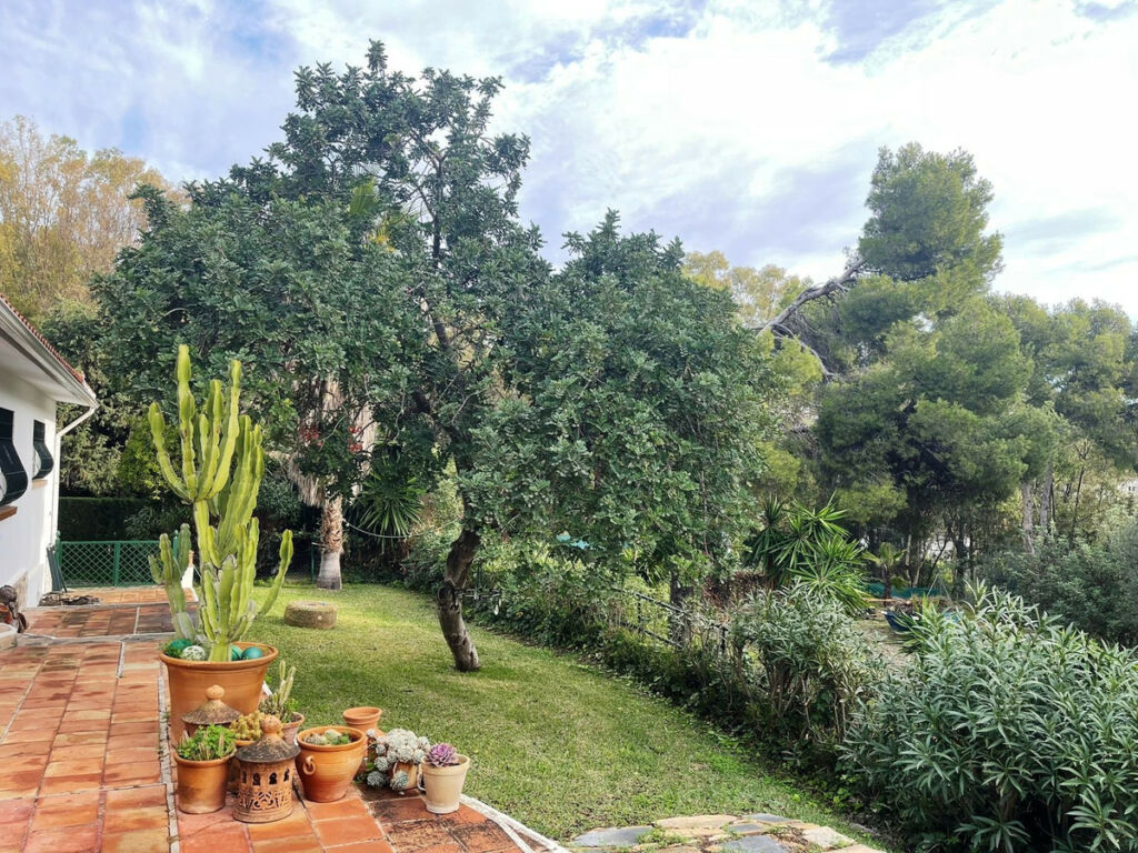 Detached Villa Benalmadena Costa Málaga - image 22