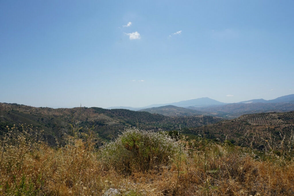 Finca - Cortijo Yunquera Málaga - image 22