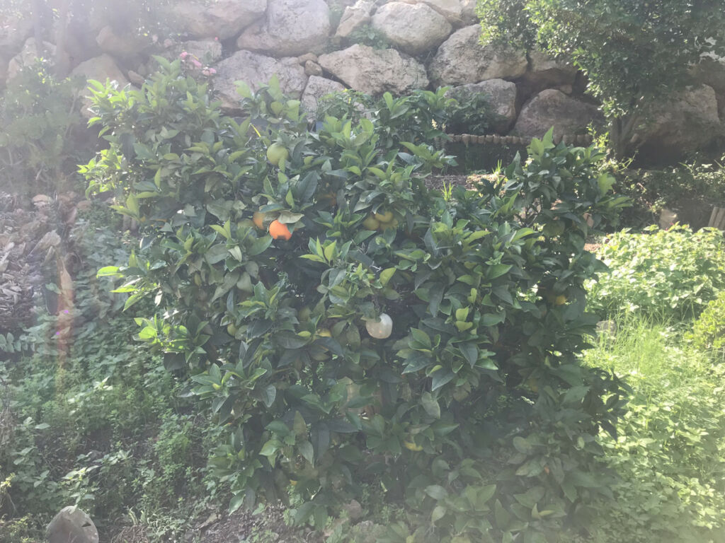 Detached Villa Nerja Málaga - image 22