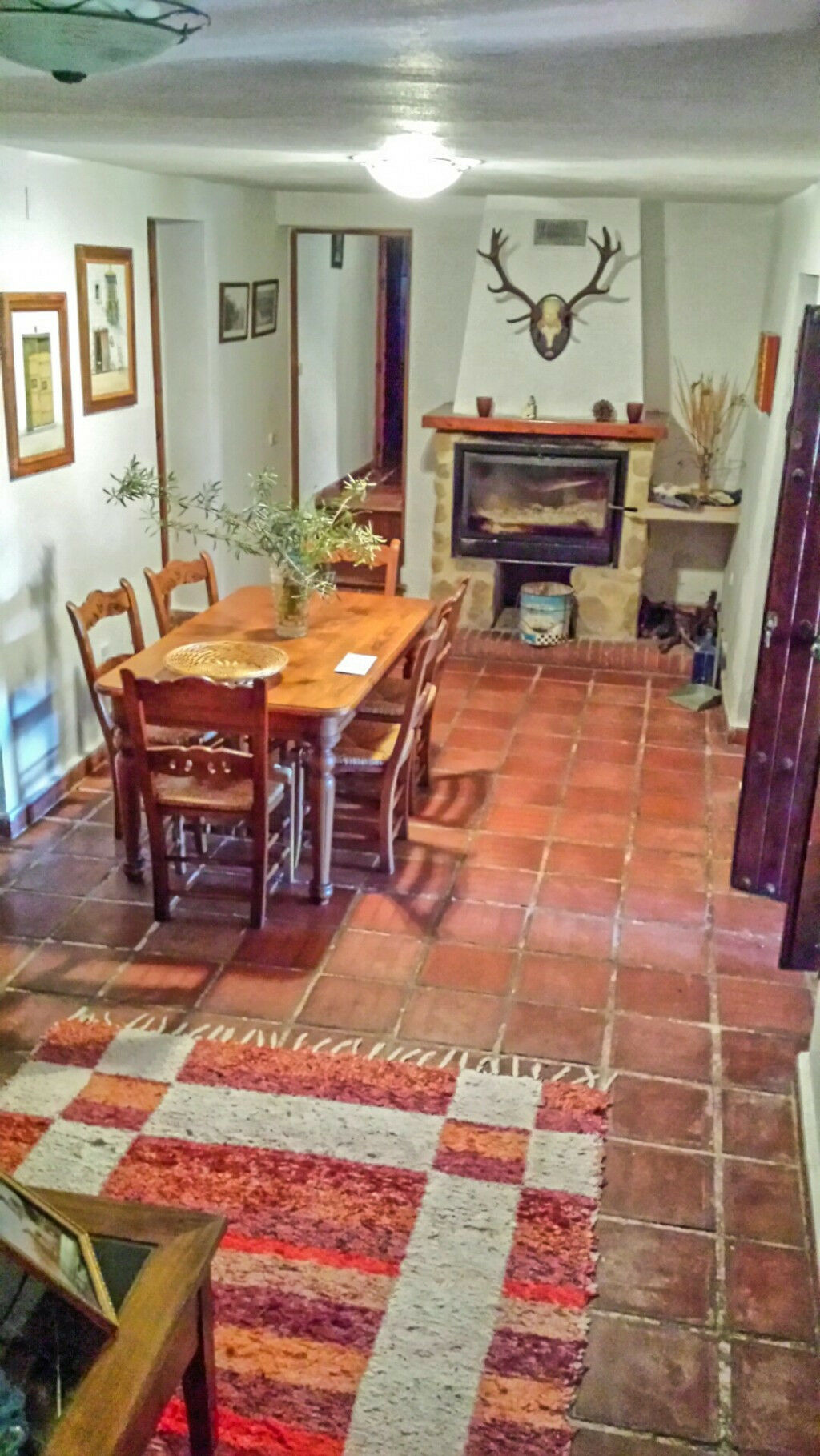 Finca - Cortijo Casarabonela Málaga - image 23