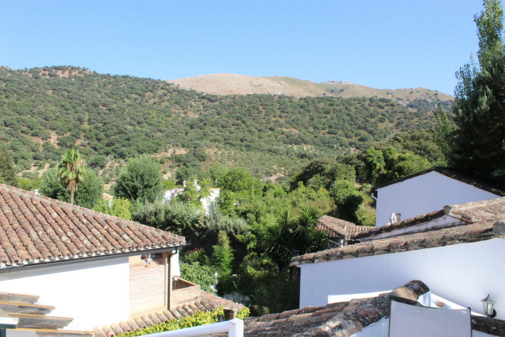 Hotel Ronda Málaga - image 23