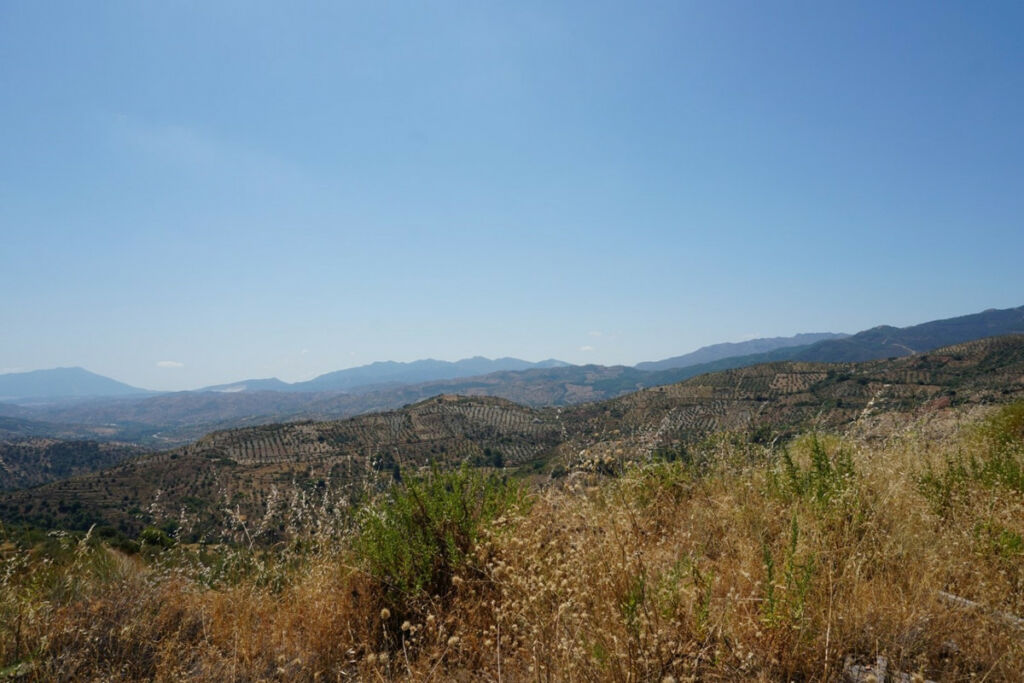Finca - Cortijo Yunquera Málaga - image 24