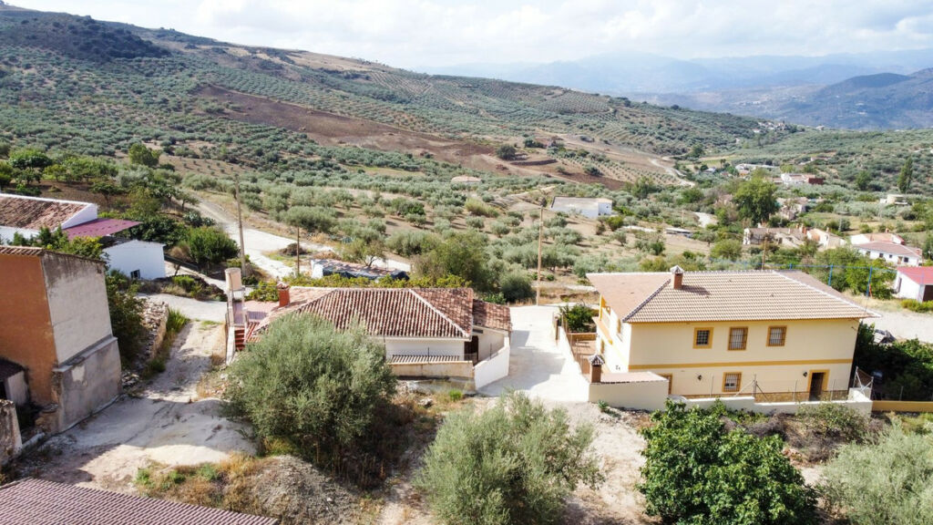 Detached Villa Periana Málaga - image 24