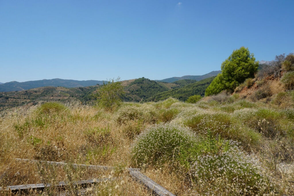 Finca - Cortijo Yunquera Málaga - image 25