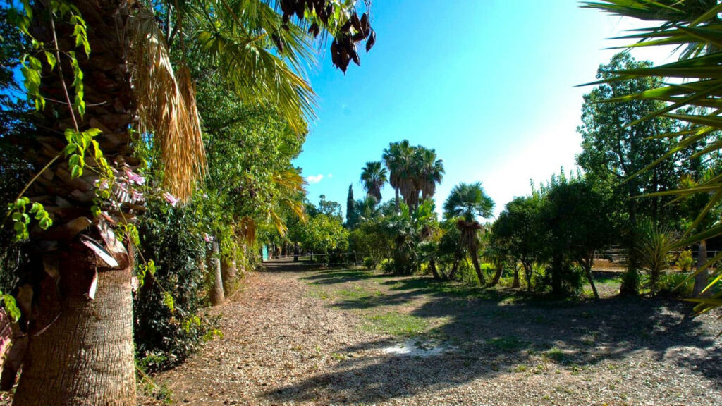Finca - Cortijo Estepona Málaga - image 25