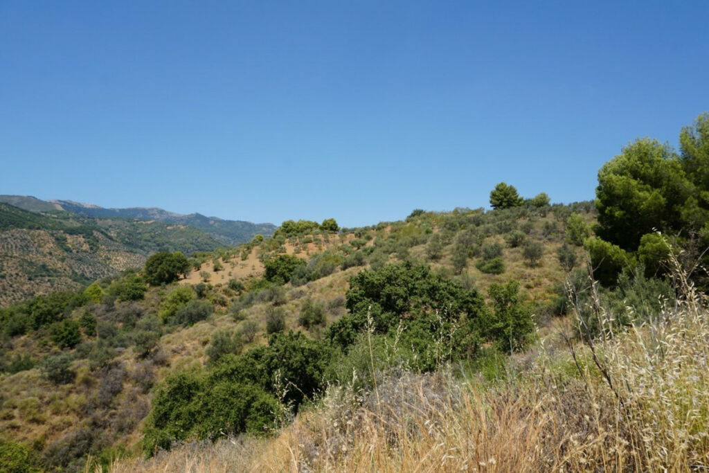 Finca - Cortijo Yunquera Málaga - image 26
