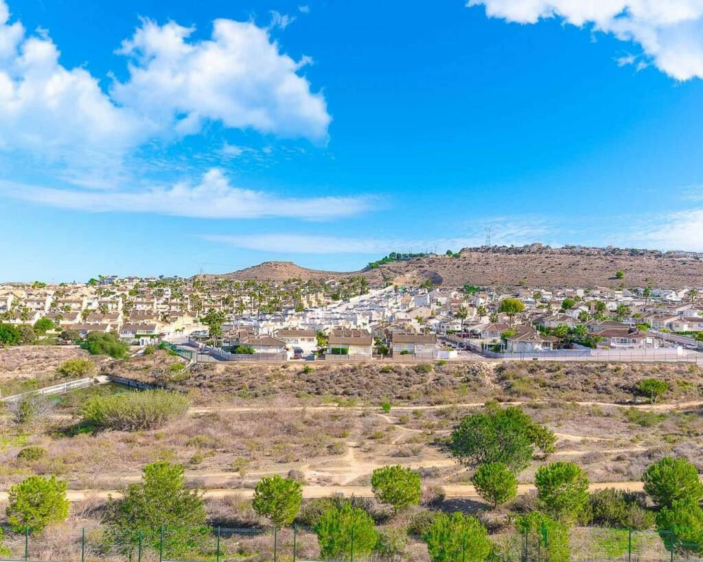 Detached Villa Benijofar Alicante - image 26