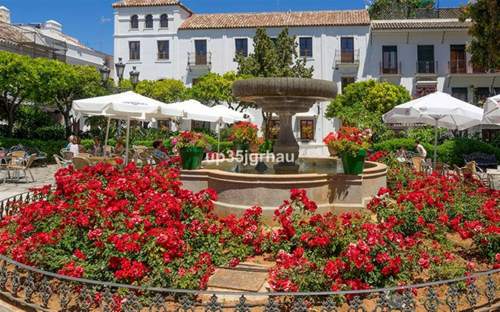 Ground Floor Studio Estepona Málaga - image 27