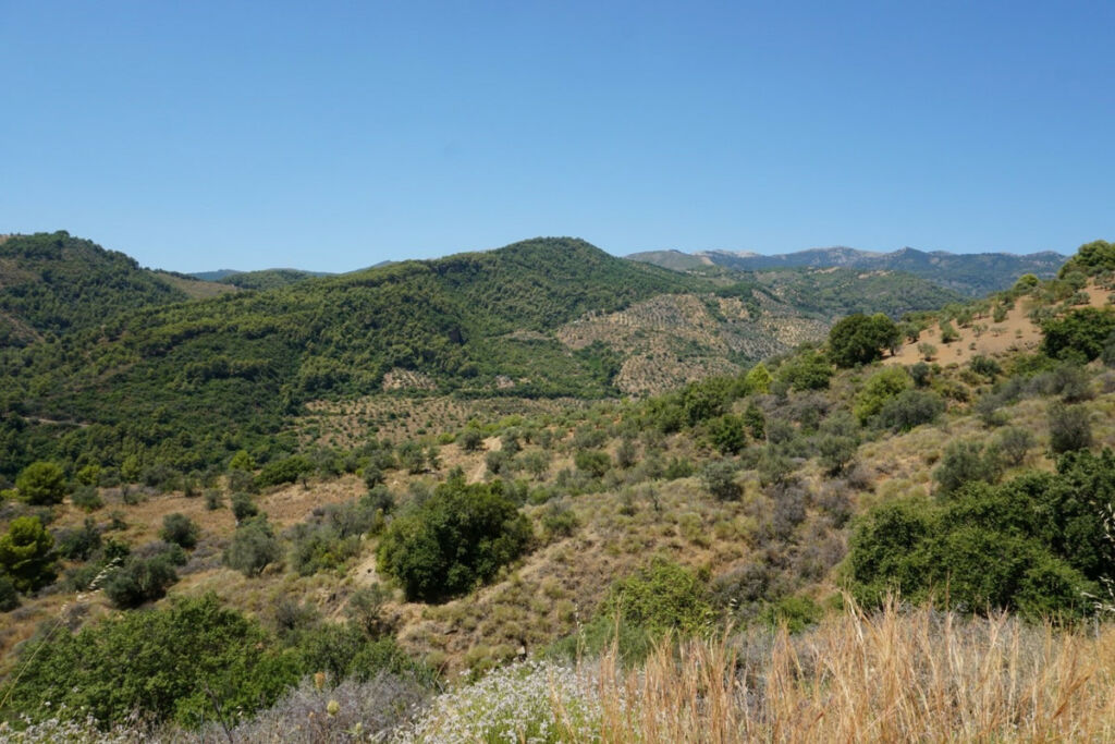 Finca - Cortijo Yunquera Málaga - image 27