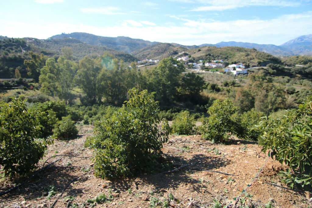 Land Coín Málaga - image 27