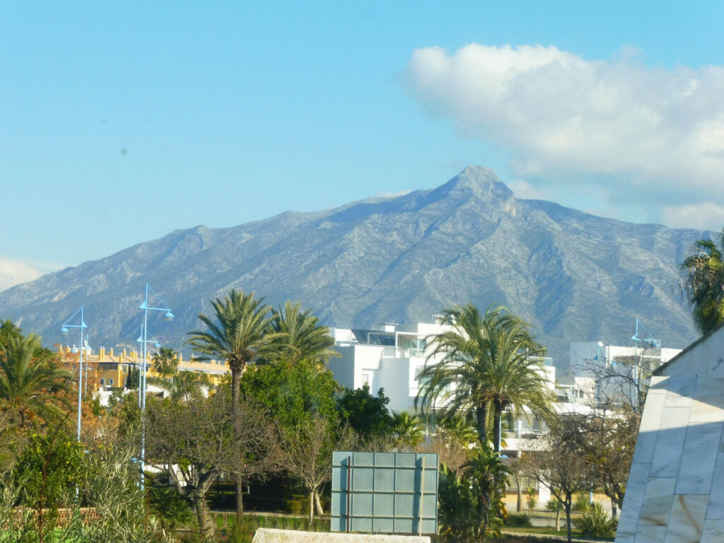 Detached Villa Marbella Málaga - image 27