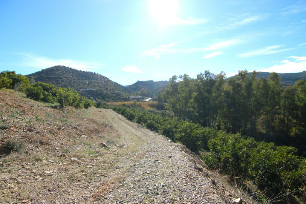 Land Coín Málaga - image 28