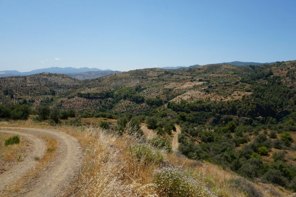 Finca - Cortijo Yunquera Málaga - image 28