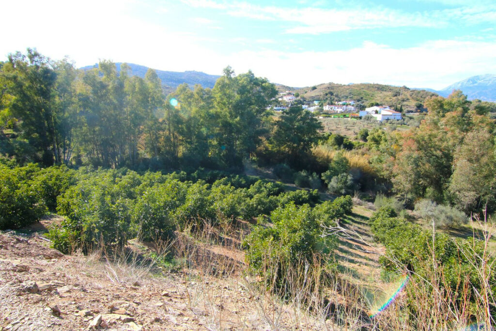 Land Coín Málaga - image 29