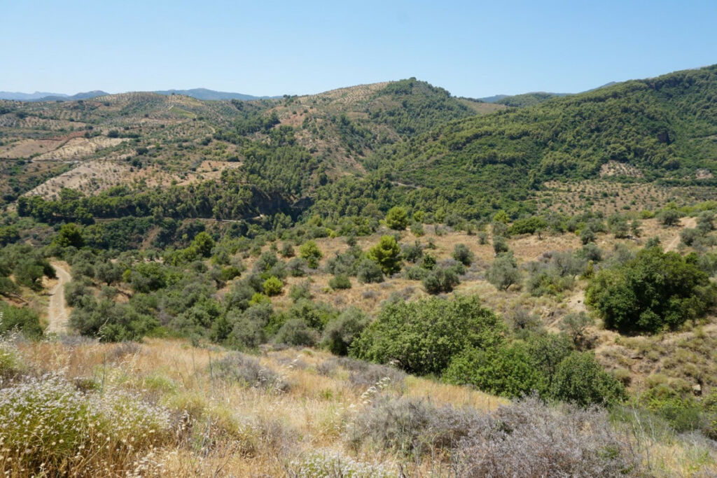 Finca - Cortijo Yunquera Málaga - image 29