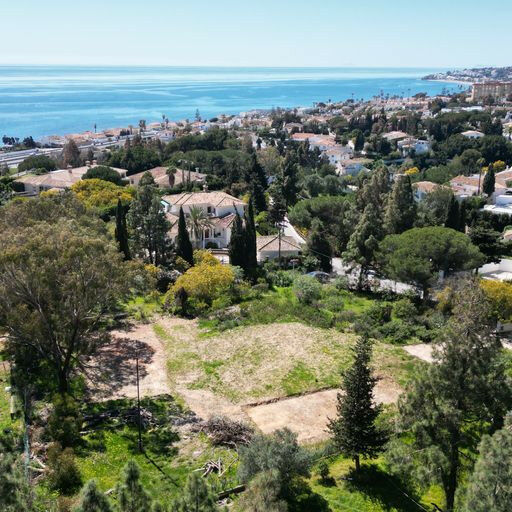 Detached Villa El Chaparral Málaga - image 31