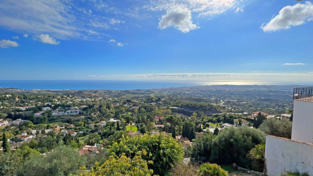 Detached Villa Mijas Málaga - image 3
