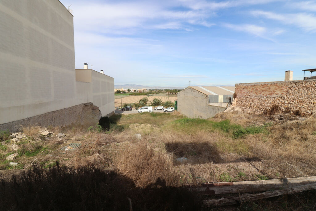 Land Benijofar Alicante - image 3