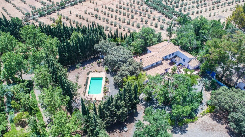 Finca - Cortijo Archidona Málaga - image 3