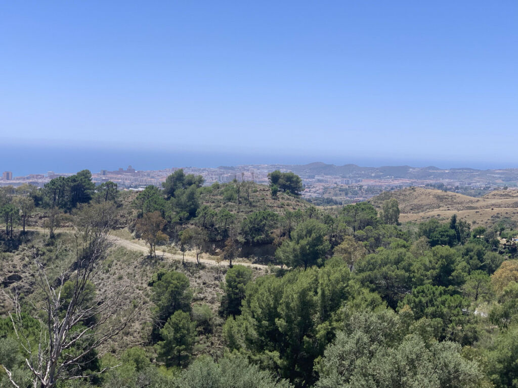 Detached Villa Mijas Málaga - image 3
