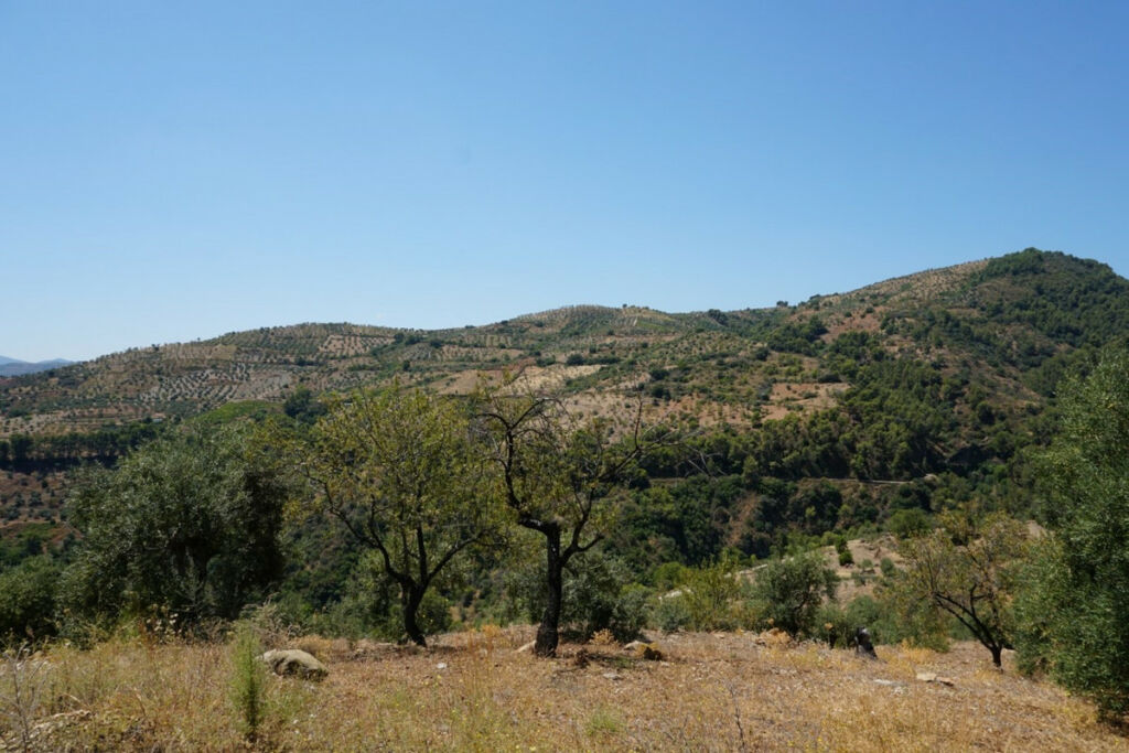 Finca - Cortijo Yunquera Málaga - image 31