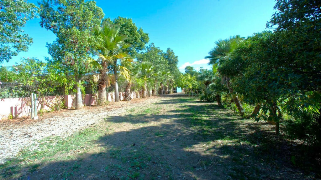 Finca - Cortijo Estepona Málaga - image 32