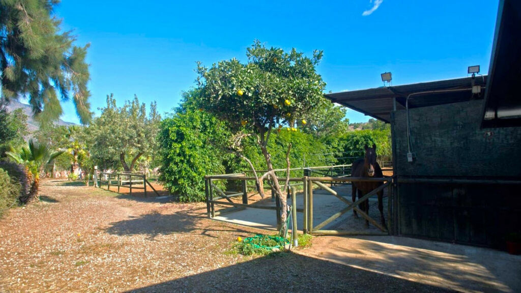 Finca - Cortijo Estepona Málaga - image 33
