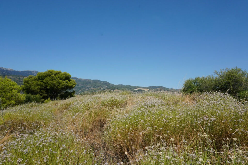 Finca - Cortijo Yunquera Málaga - image 33