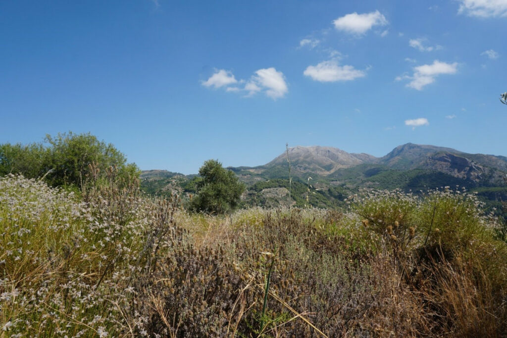 Finca - Cortijo Yunquera Málaga - image 34
