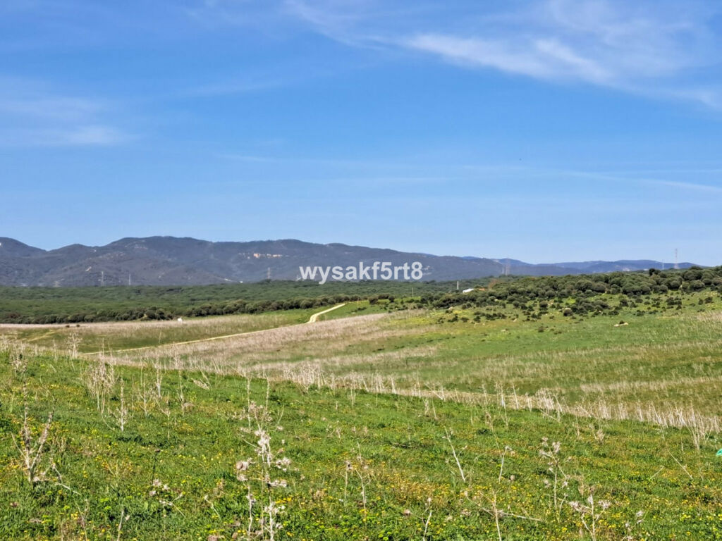 Land San Roque Cádiz - image 37