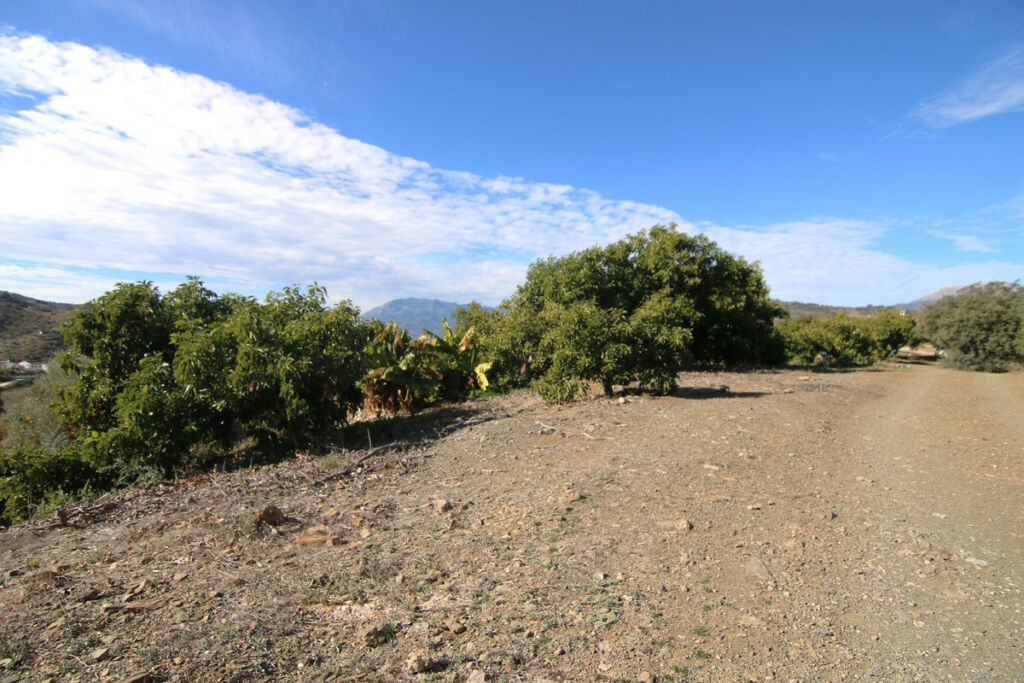 Land Coín Málaga - image 35
