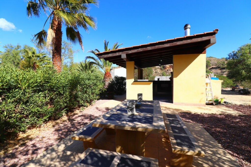 Detached Villa Aspe Alicante - image 36
