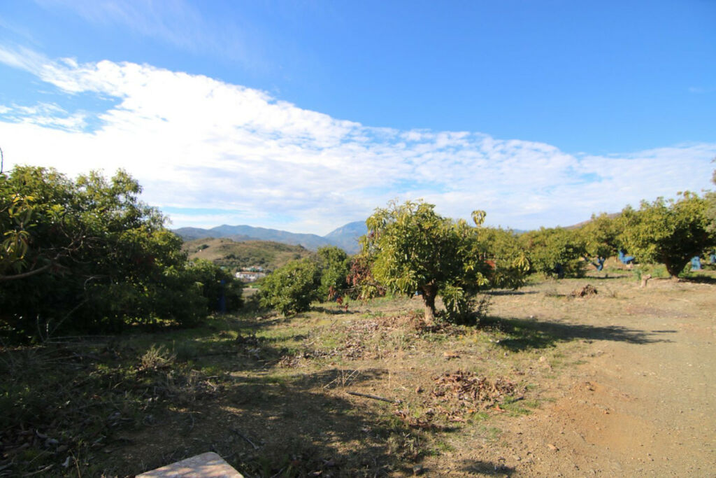 Land Coín Málaga - image 36
