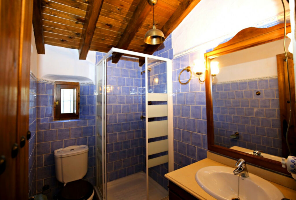 Detached Villa Frigiliana Málaga - image 37