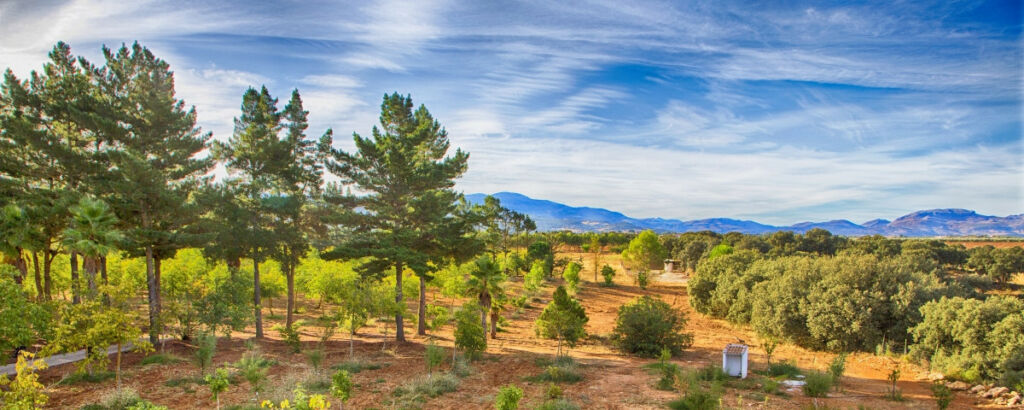Farm Ronda Málaga - image 41