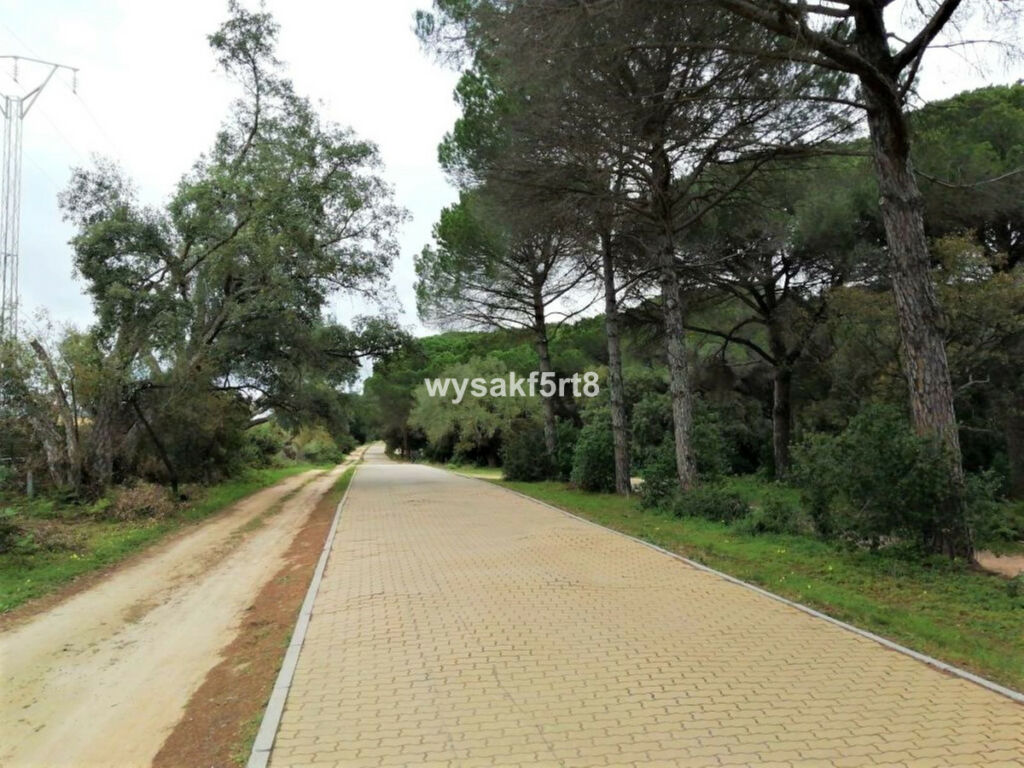 Land San Roque Cádiz - image 43