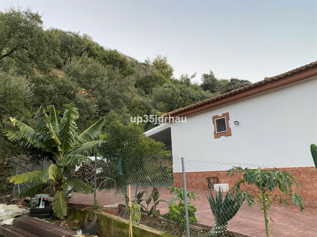 Detached Villa Estepona Málaga - image 38