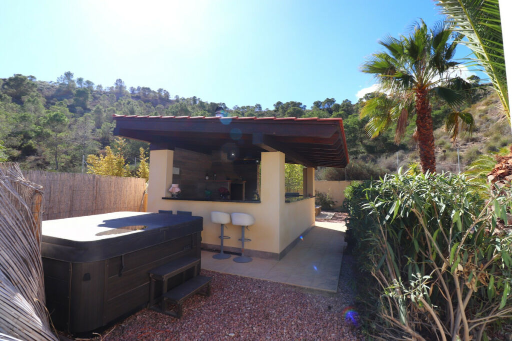 Detached Villa Aspe Alicante - image 39