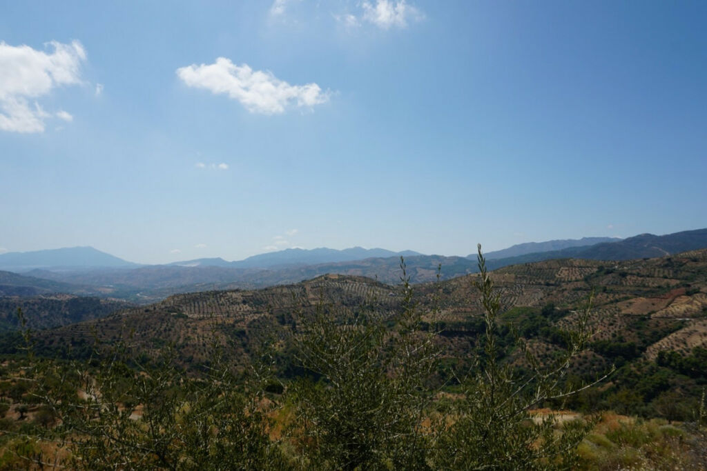 Finca - Cortijo Yunquera Málaga - image 4