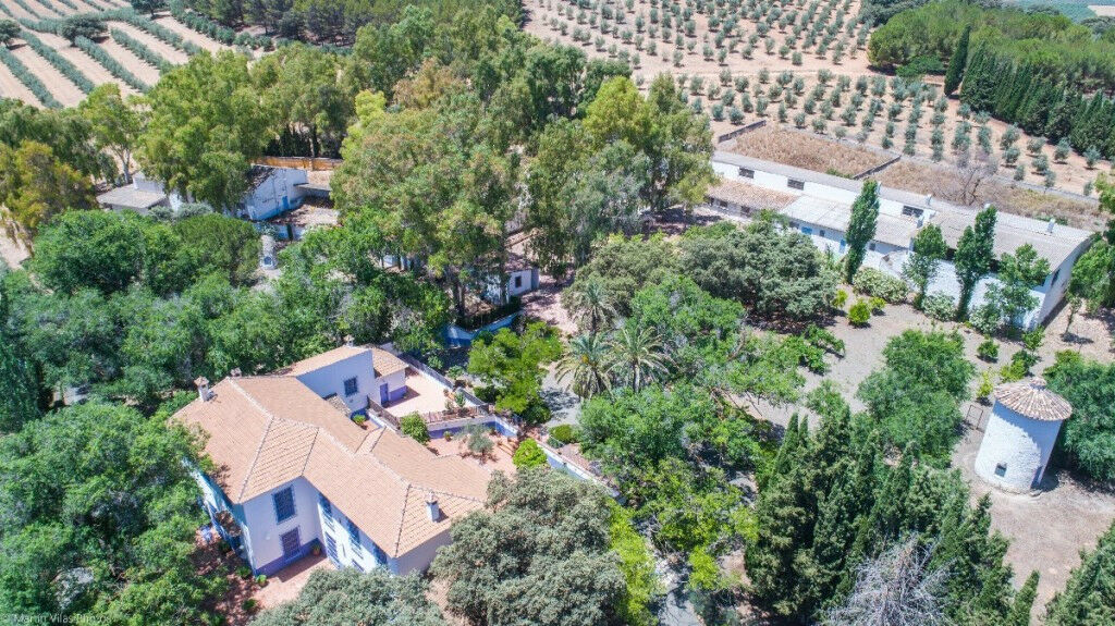 Finca - Cortijo Archidona Málaga - image 4