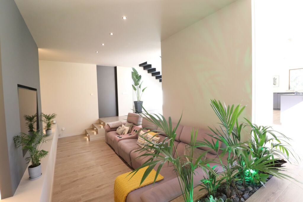 Detached Villa Aspe Alicante - image 4