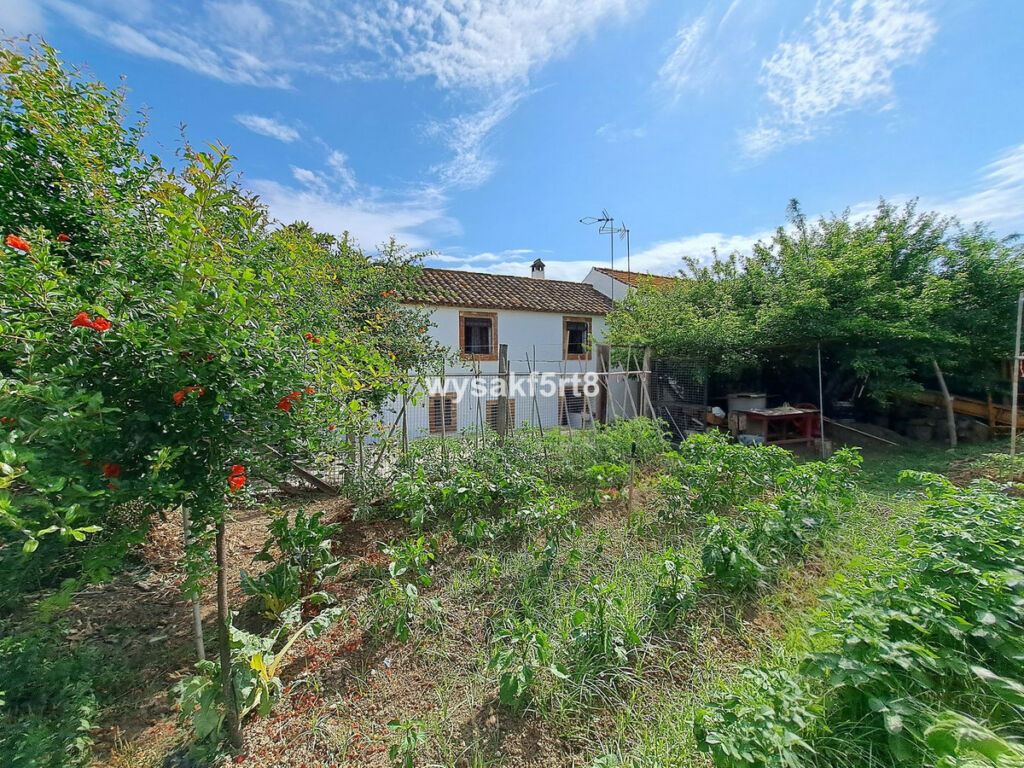 Townhouse Jimena de la Frontera Cádiz - image 4