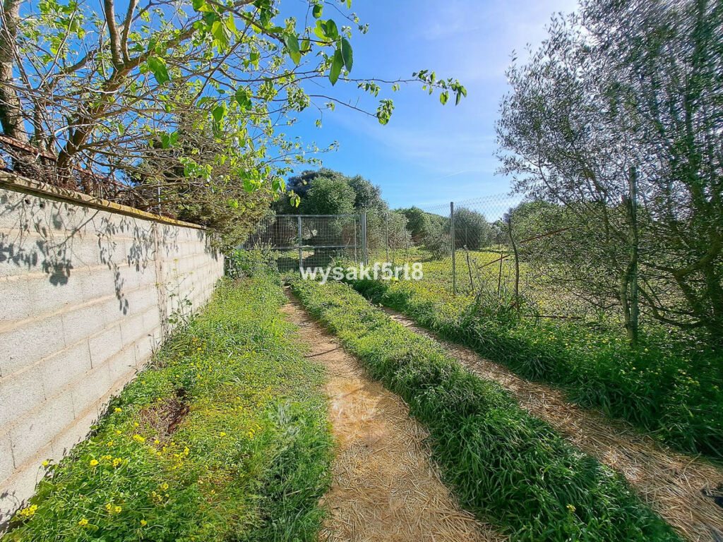Land San Roque Cádiz - image 7