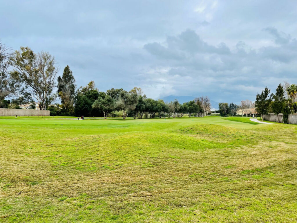 Residential Plot Guadalmina Baja Málaga - image 4