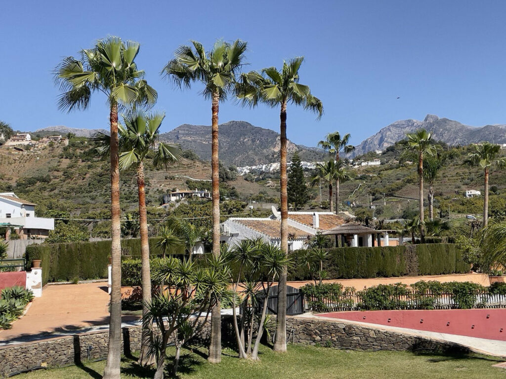 Detached Villa Frigiliana Málaga - image 4