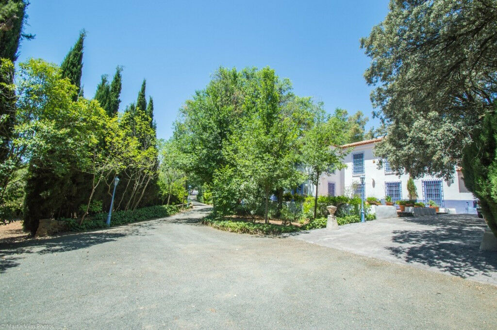 Finca - Cortijo Archidona Málaga - image 40