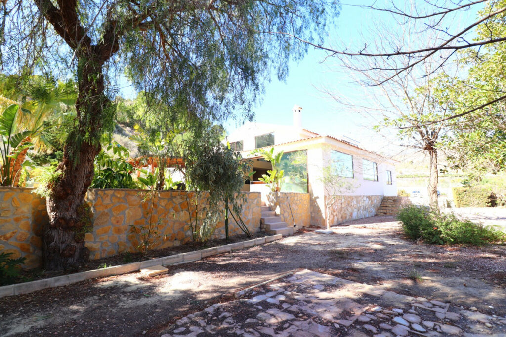 Detached Villa Aspe Alicante - image 41
