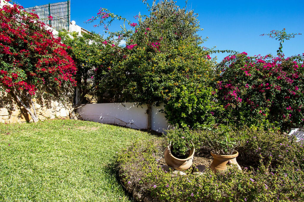 Detached Villa Mijas Costa Málaga - image 42