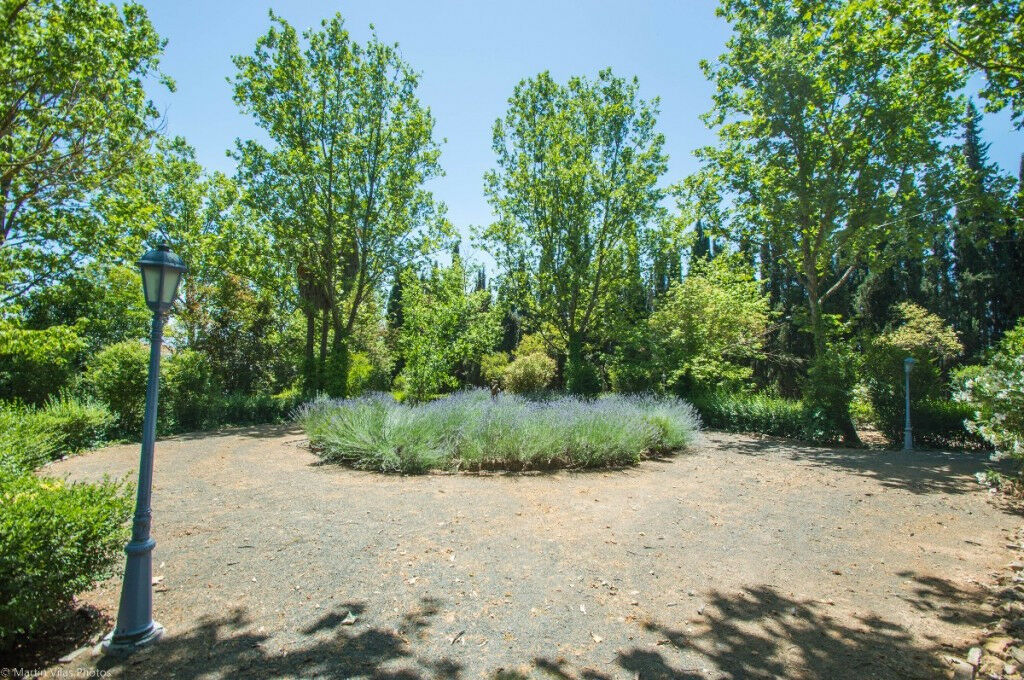 Finca - Cortijo Archidona Málaga - image 42